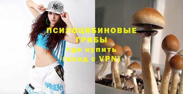 винт Абинск