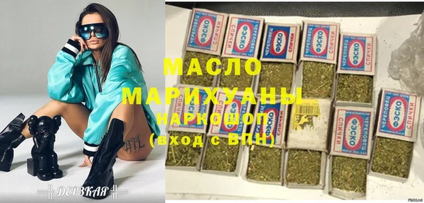 индика Алексин