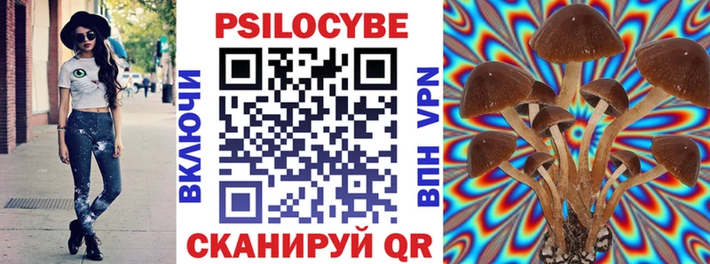мега как зайти  Новочеркасск  Псилоцибиновые грибы мухоморы  где купить наркоту 