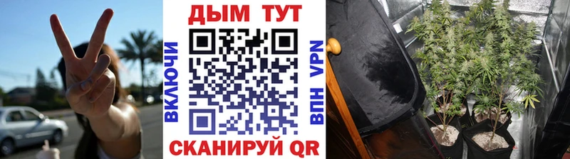мега зеркало  наркота  Новочеркасск  Бошки марихуана семена 
